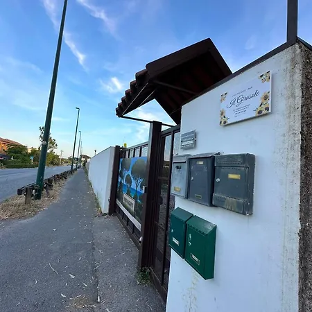 Il Girasole
